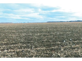 Property photo 14 - LAND AUCTION - 228+/- ACRES OFFERED IN 2 TRACTS IN JASPER COUNTY, INDIANA